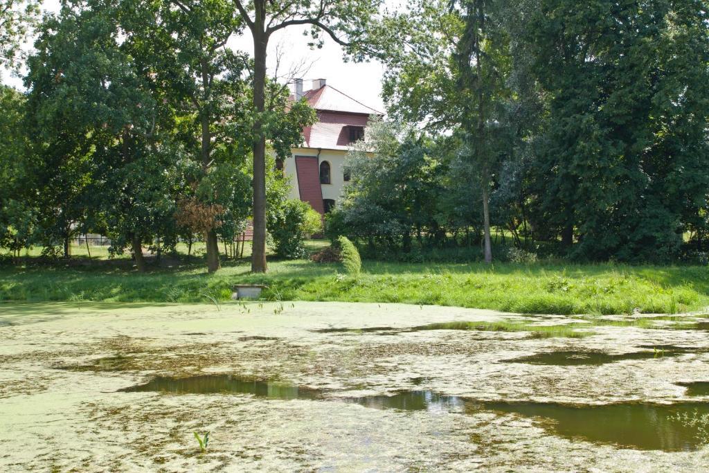 Palac Kietlin Niemcza Exterior photo